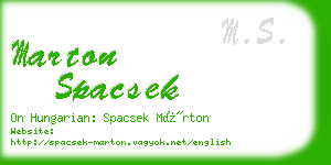 marton spacsek business card